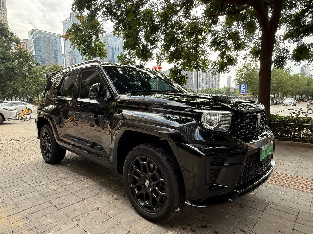 Tank 2026 Tank 700 Hi4-T 3.0T Peak Edition Automatic Gear 2