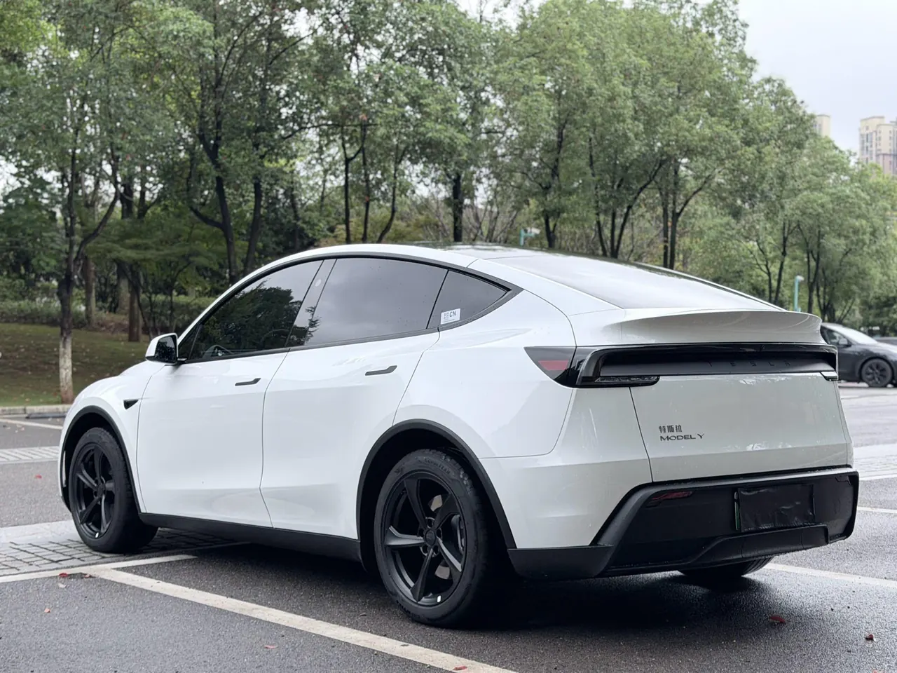 Tesla 2026 Model Y Rear-Wheel-Drive Automatic 6