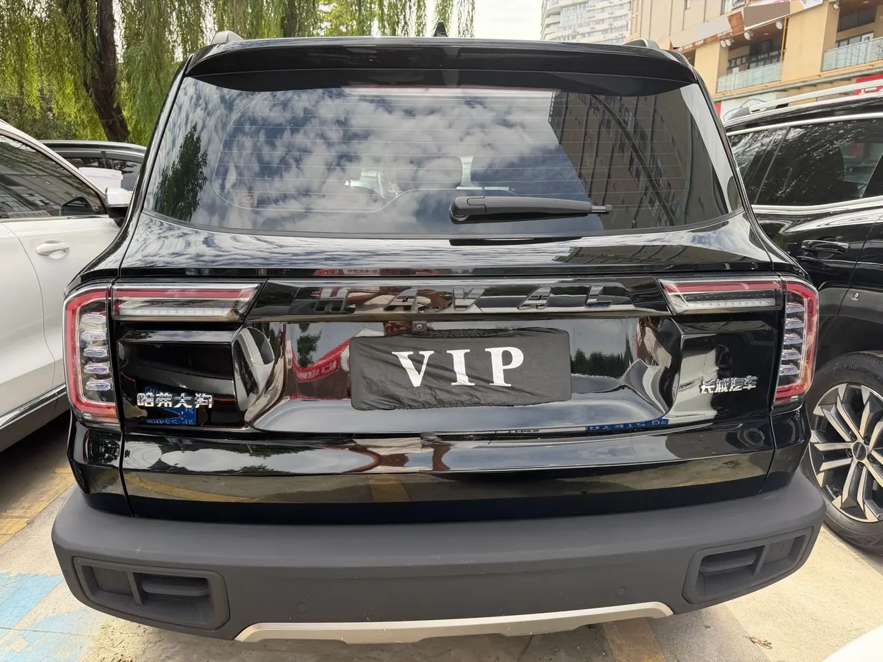 Haval 2022 big dogs 1.5T two-wheel-drive border animal husbandry version automatic gear 11