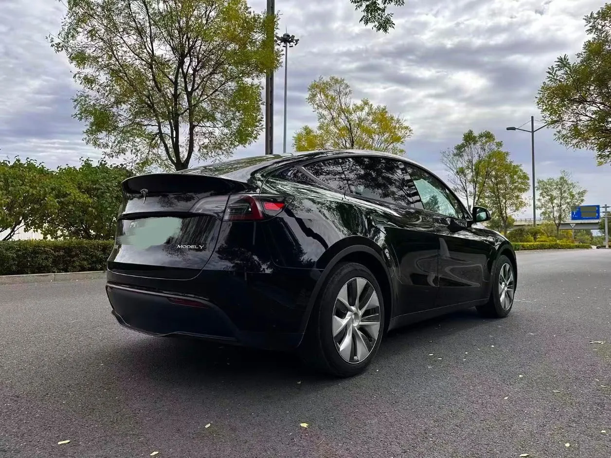 Tesla 2022 Model Y rear-wheel drive version (facelift) automatic gear 3