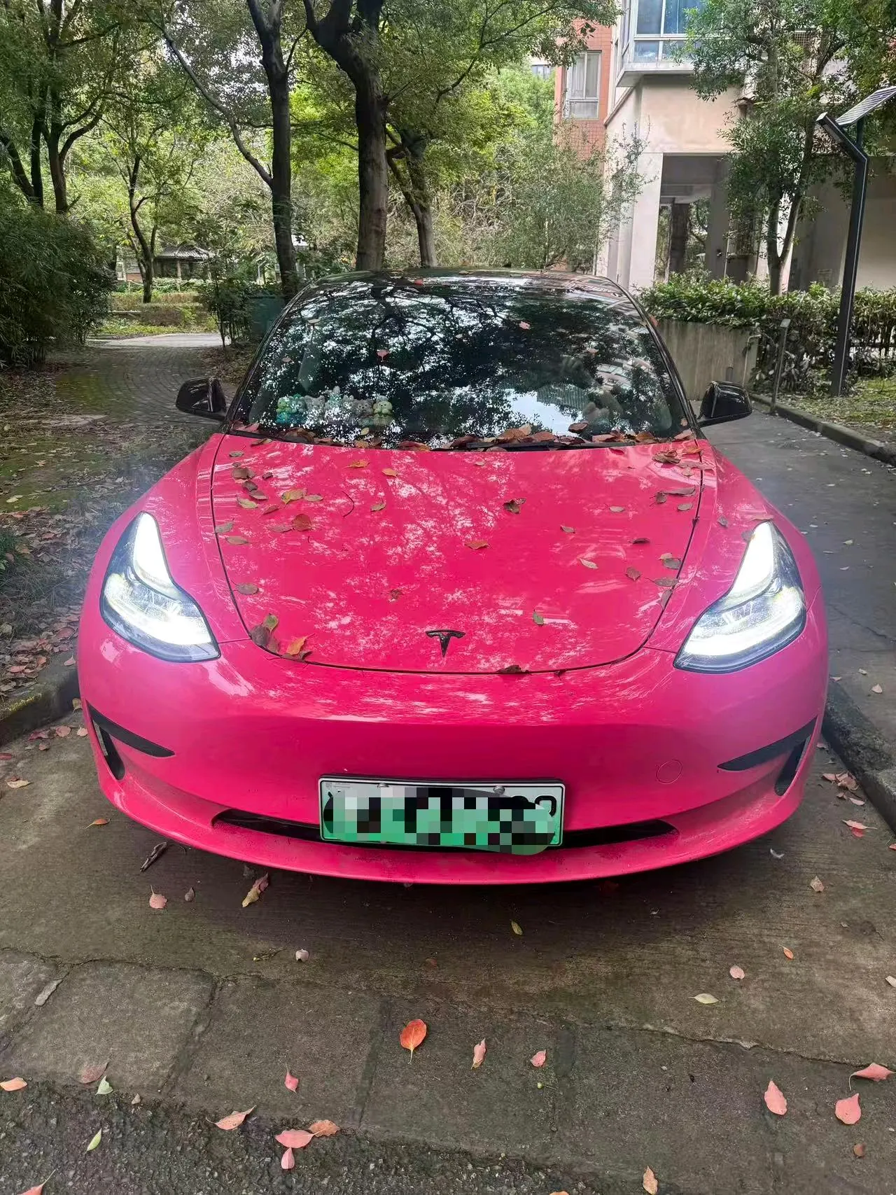 Tesla 2022 Model 3 rear-wheel drive version of automatic transmission 2