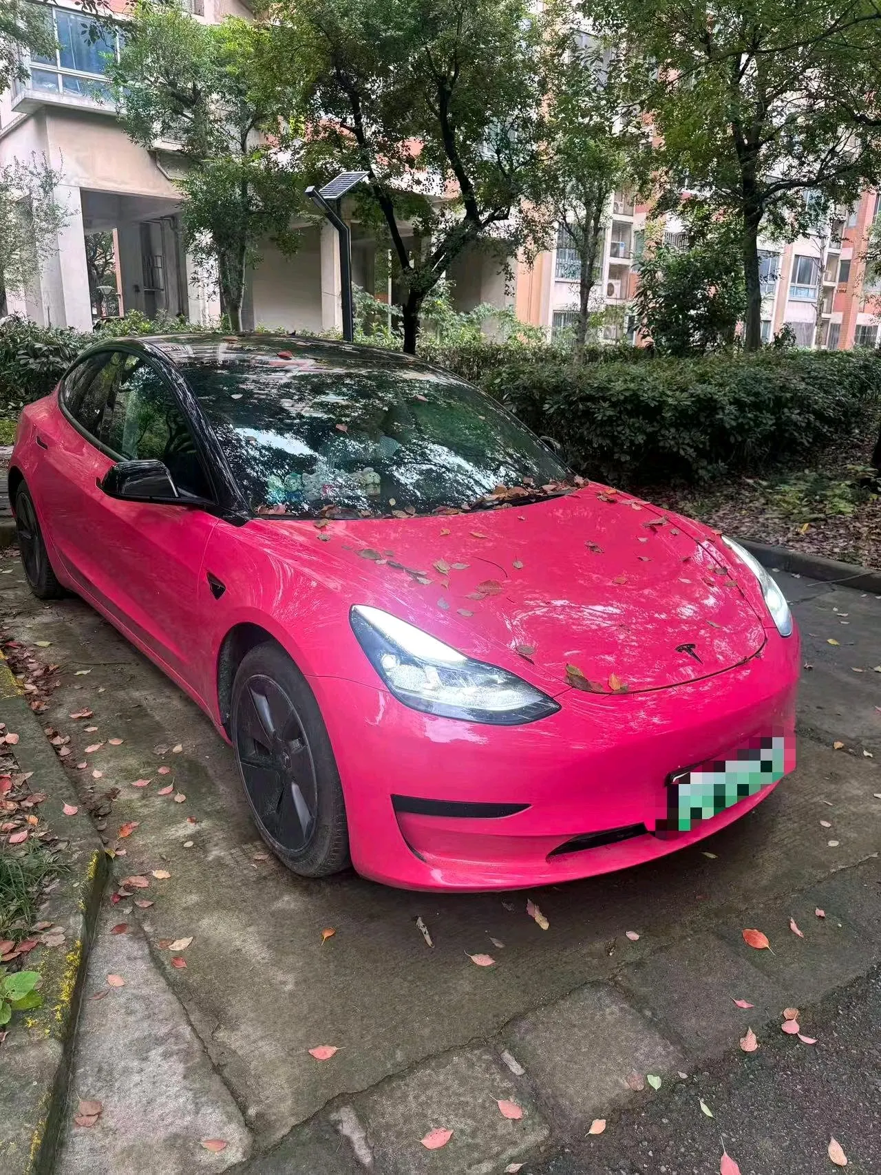 Tesla 2022 Model 3 rear-wheel drive version of automatic transmission 3