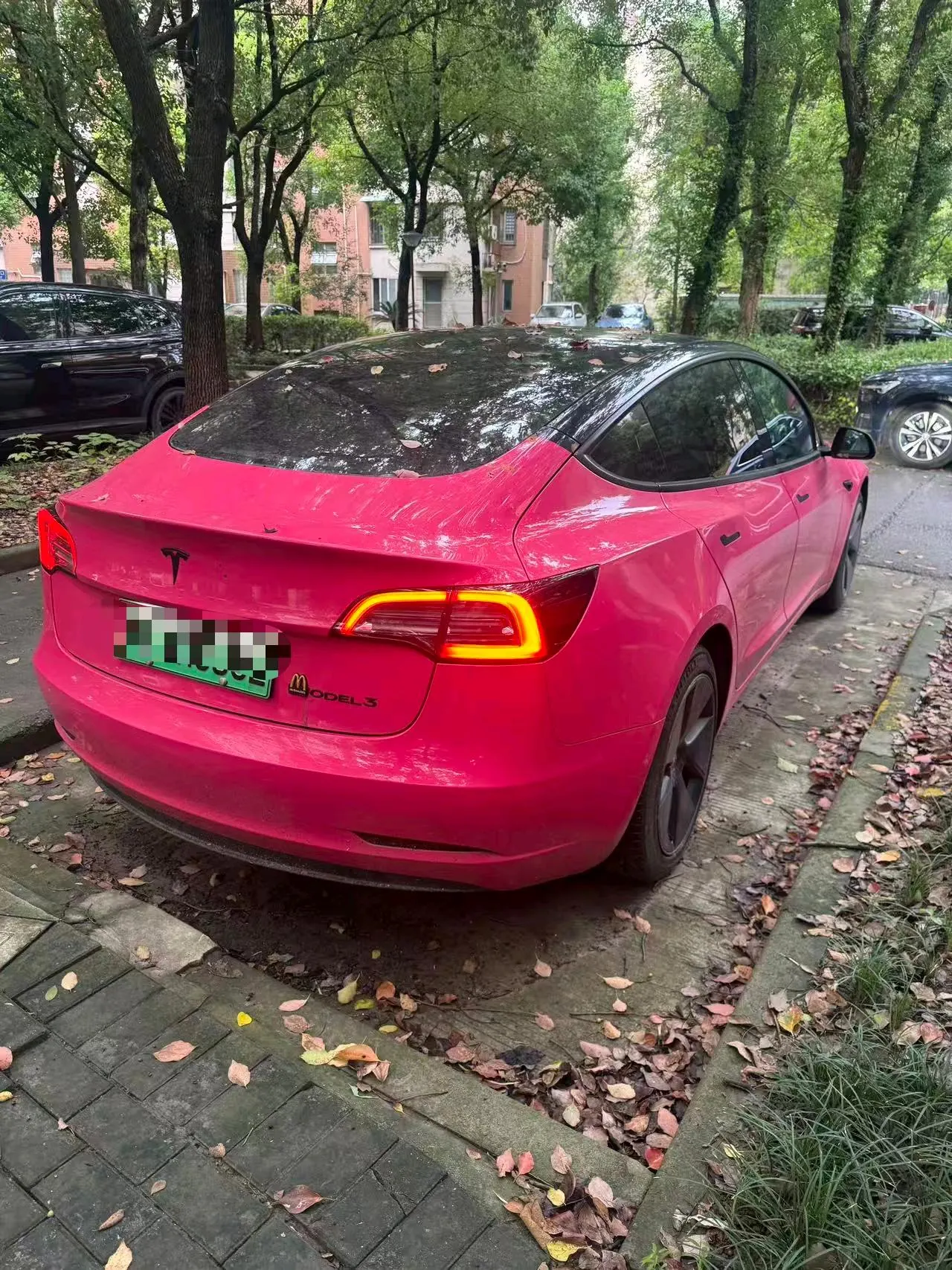 Tesla 2022 Model 3 rear-wheel drive version of automatic transmission 6