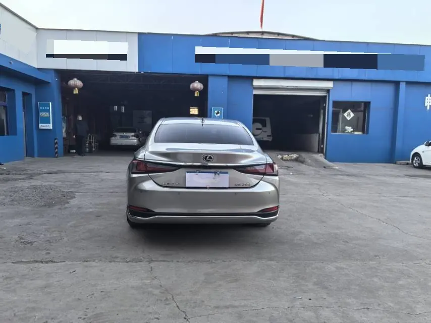 Lexus ES (Imported) 2024 ES200 2.0 Stepless Edition Automatic Gear 5