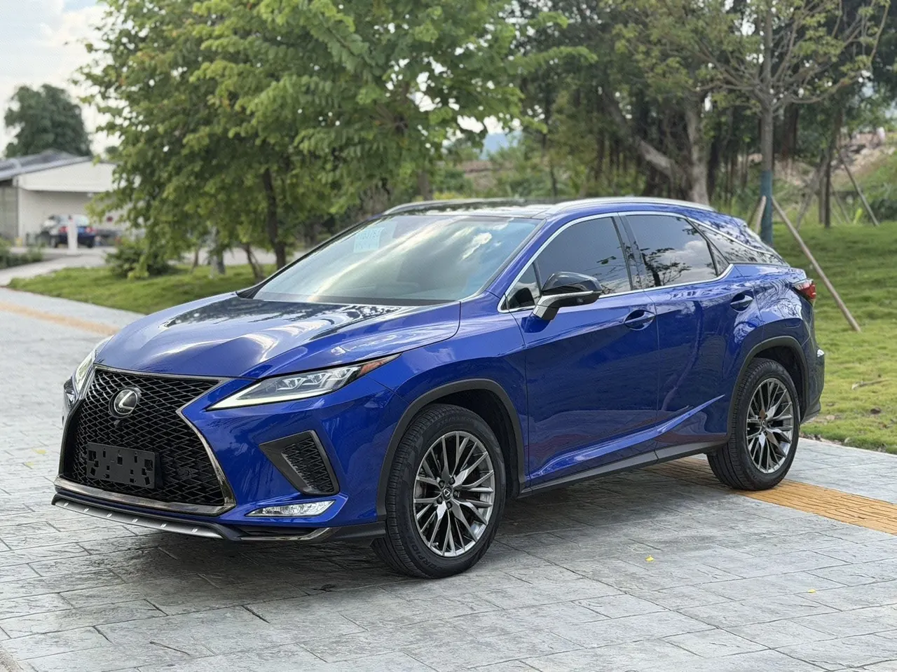 Open image lightbox: Lexus RX (Imported) 2020 RX300 2.0T Four-wheel Drive Elegant Automatic Gear