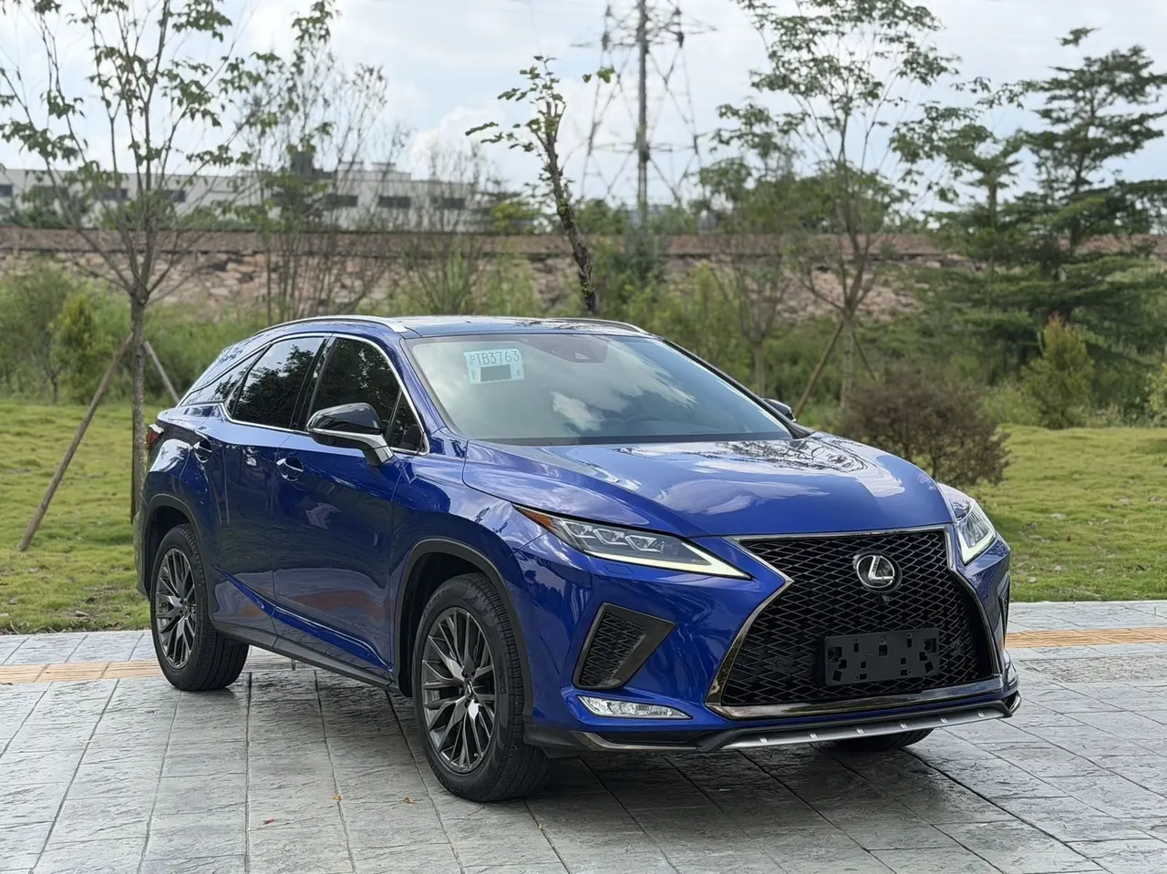 Lexus RX (Imported) 2020 RX300 2.0T Four-wheel Drive Elegant Automatic Gear 3