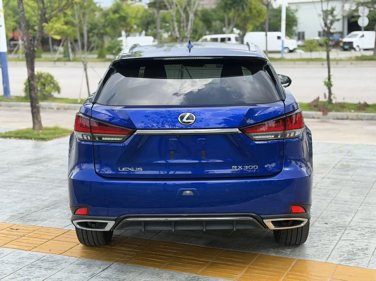 Lexus RX (Imported) 2020 RX300 2.0T Four-wheel Drive Elegant Automatic Gear 8