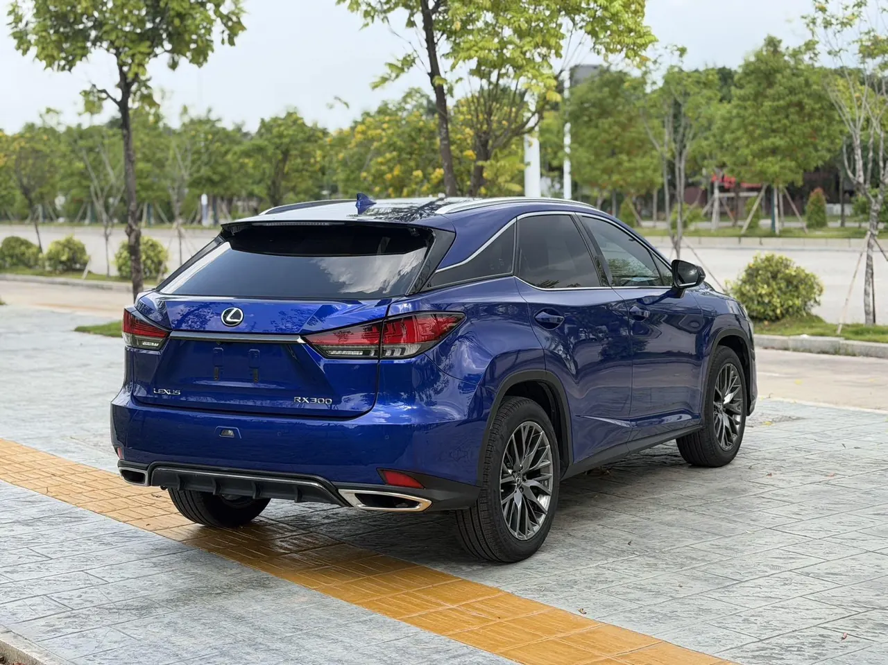 Lexus RX (Imported) 2020 RX300 2.0T Four-wheel Drive Elegant Automatic Gear 9