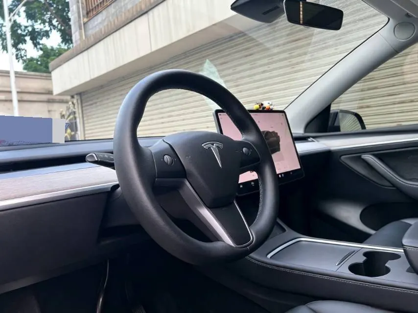 Tesla 2022 Model Y rear-wheel drive version automatic transmission 17