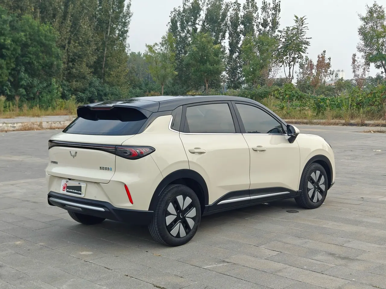 WuLing 2025 Plantronics S 430km Exclusive Automatic Transmission 6