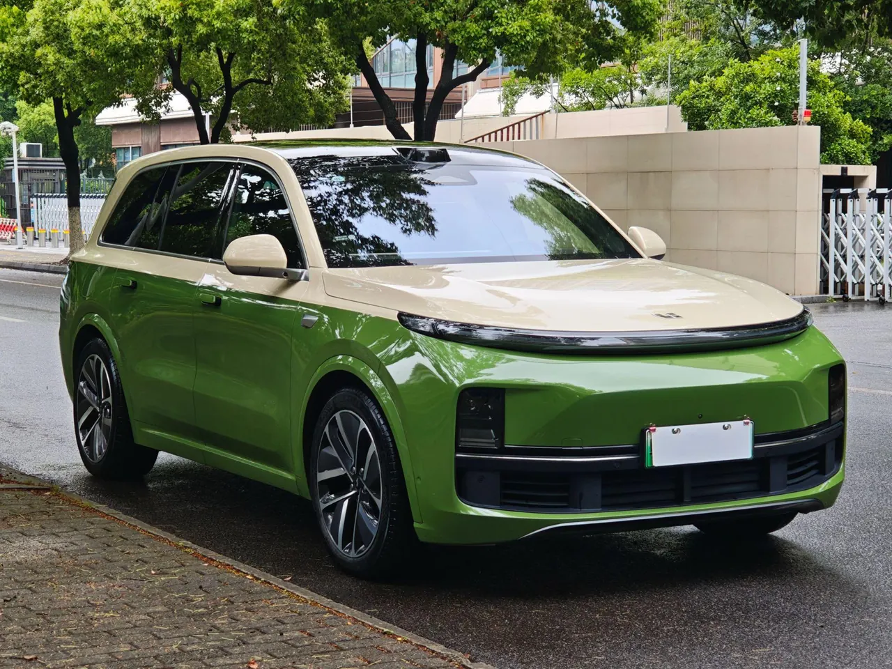 Li 2022 L9 1.5T Max Edition Automatic Gear 3