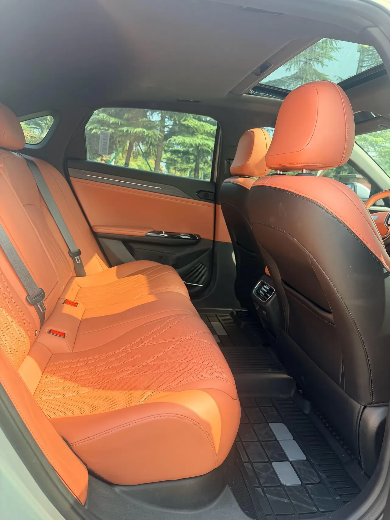 Geely Galaxy 2025 L6 EM-i 1.5 140km Starship Edition Automatic Gear 3
