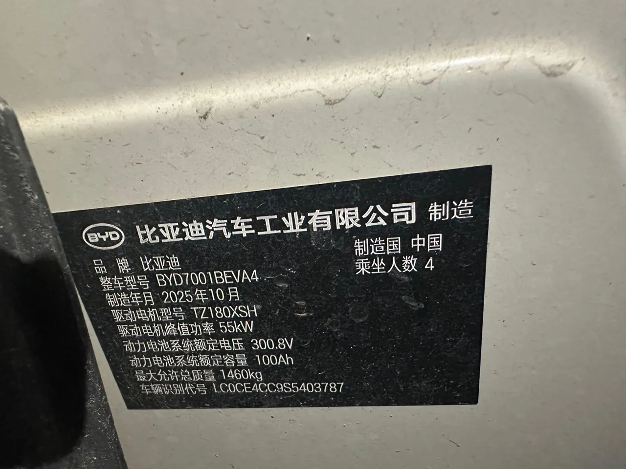 BYD 2025 seagulls 305km free version automatic gear 11