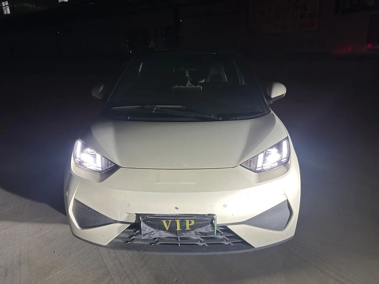 BYD 2025 seagulls 305km free version automatic gear 2