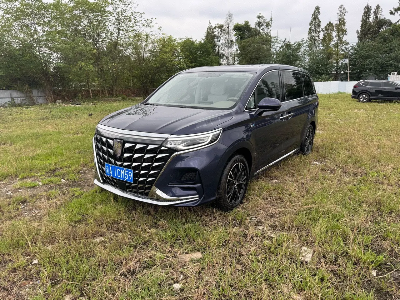 Roewe 2023 iMAX8 2.0TGI 400TGI Premium Edition Automatic Gear - View 1