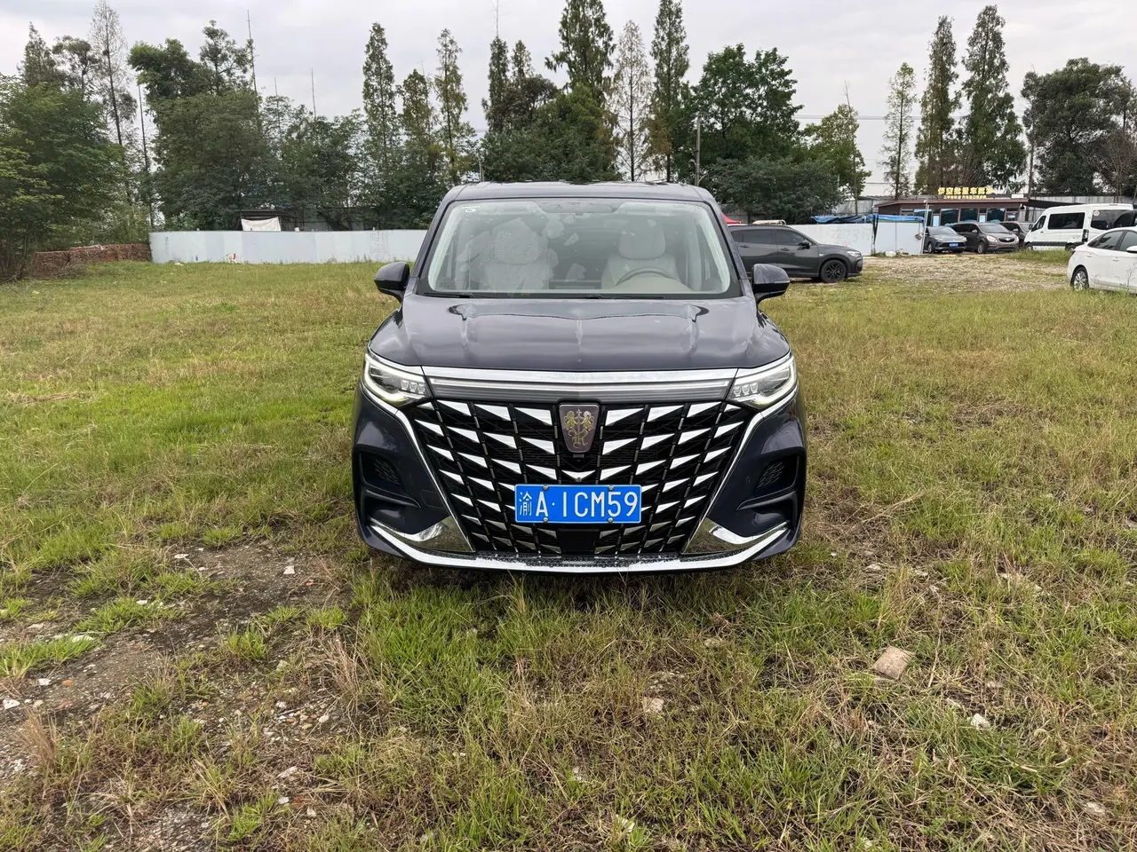 Roewe 2023 iMAX8 2.0TGI 400TGI Premium Edition Automatic Gear 3