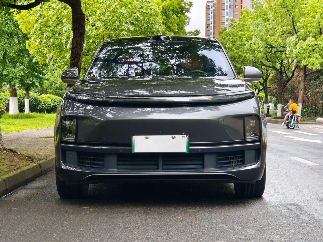 Li 2022 L9 1.5T Max Edition Automatic Gear 10