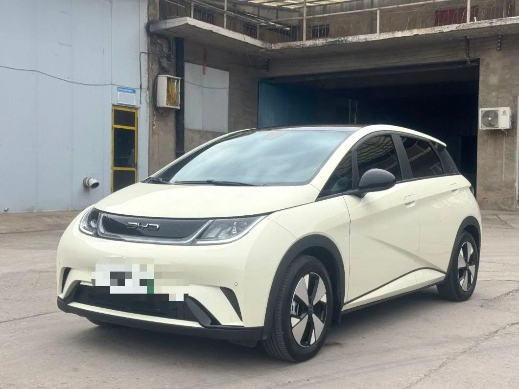 Open image lightbox: BYD 2023 Dolphins 420km Free Edition Automatic