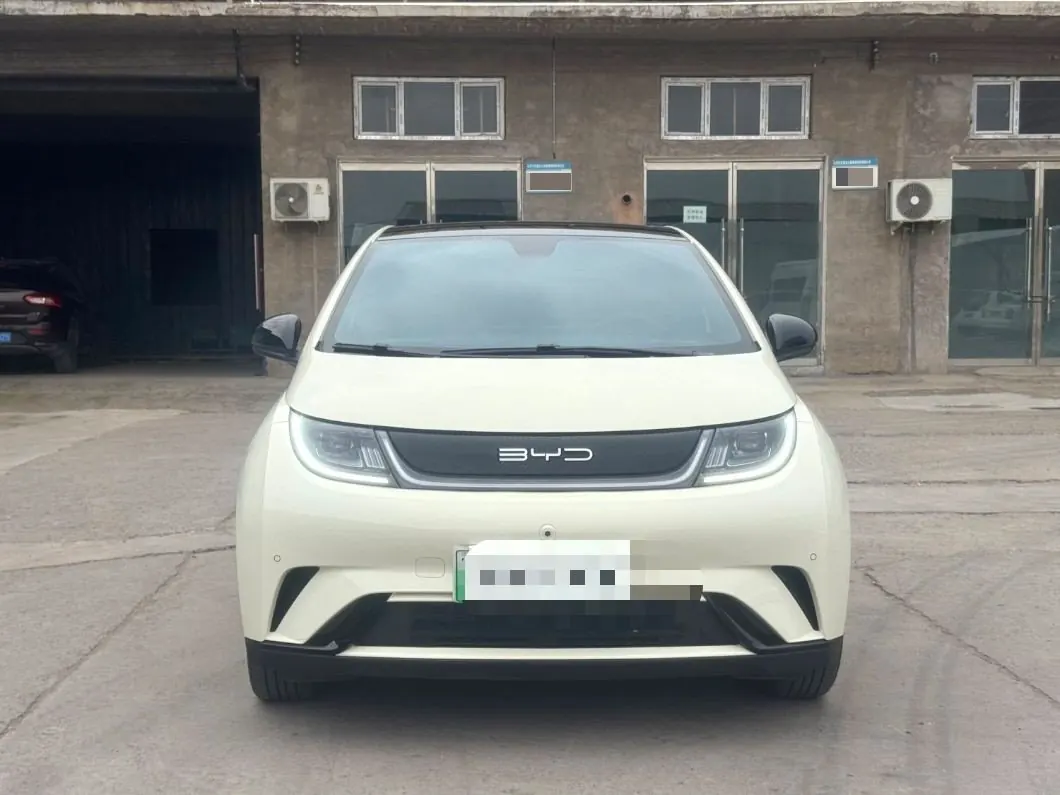 BYD 2023 Dolphins 420km Free Edition Automatic 2