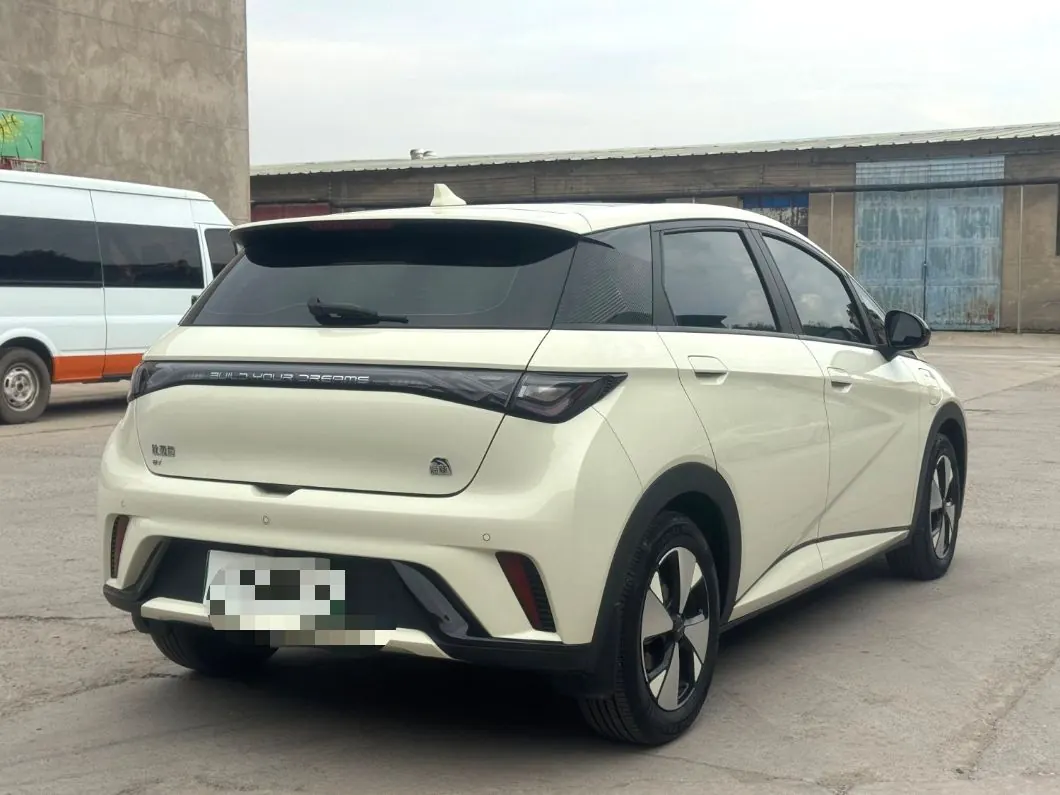 BYD 2023 Dolphins 420km Free Edition Automatic 4