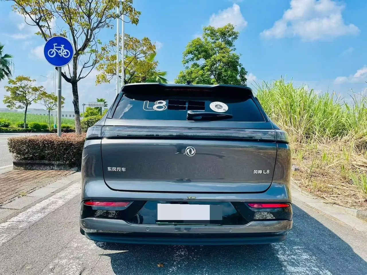 Aeolus 2025 L8 1.5T 185KM Dream Edition Automatic Gear 6
