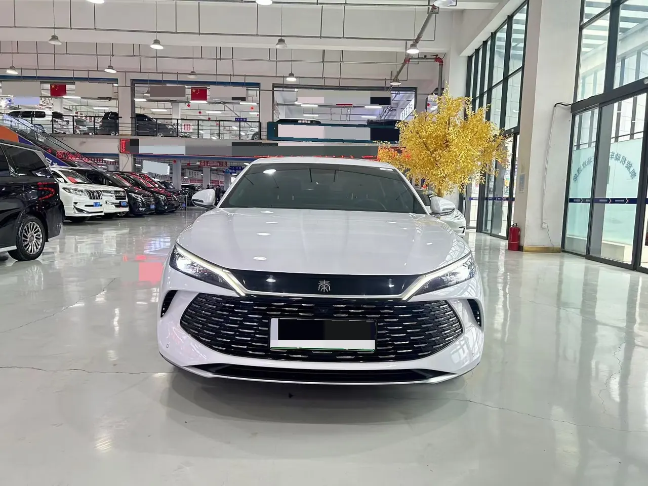 BYD 2024 Qin L DM-i 1.5 stepless 120KM leading automatic gear 3