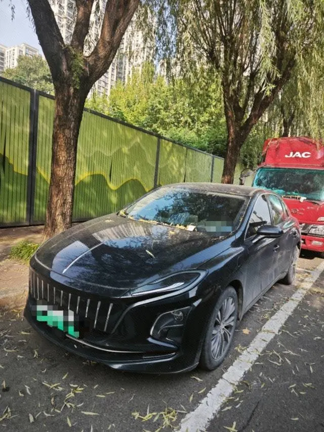 HongQi 2022 E-QM 5 431km Charging Enjoy Edition Automatic Gear - View 1