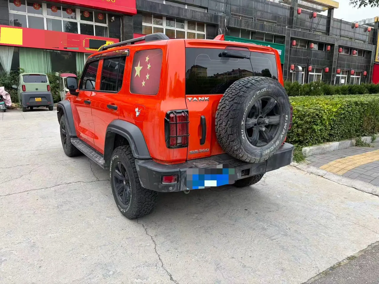 Tank 2021 Tank 300 2.0T Off-road Conqueror Automatic 3
