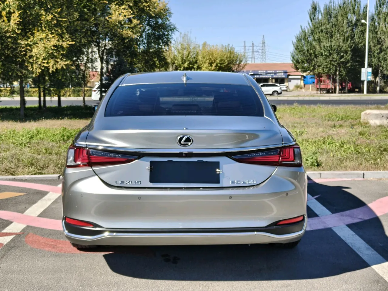 Lexus ES (Imported) 2020 ES200 2.0 Stepless Premium Edition Automatic Gear 10