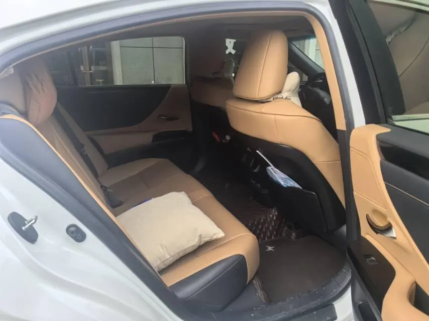 Lexus ES (Imported) 2023 ES260 2.5 Excellence Automatic Gear 6
