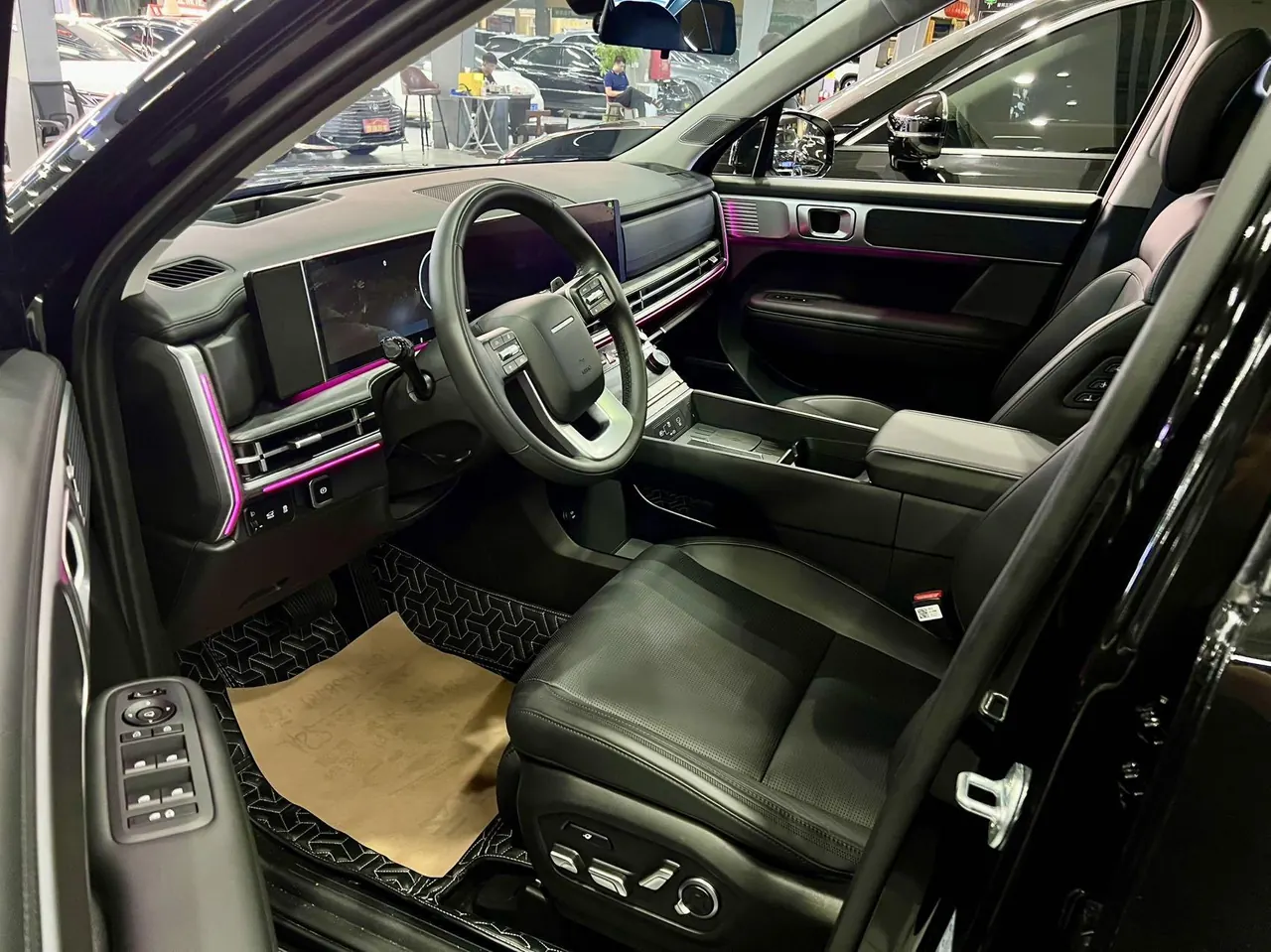 Hyundai 2024 Shengda 2.0T Connoisseur Pro Max Automatic 7
