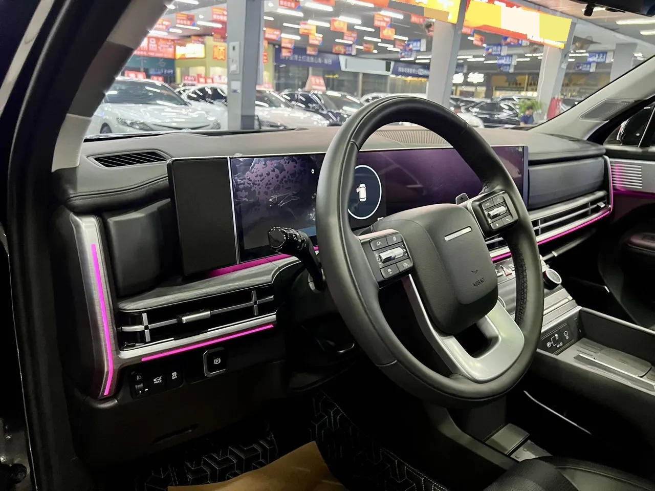 Hyundai 2024 Shengda 2.0T Connoisseur Pro Max Automatic 8