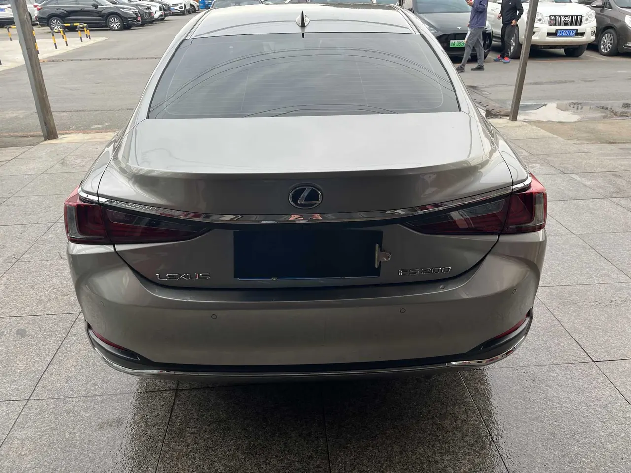 Lexus ES (Imported) 2020 ES200 2.0 Stepless Premium Edition Automatic Gear 5