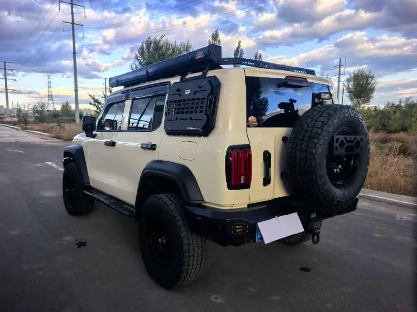 Tank 2021 Tank 300 2.0T Off-road Conqueror Automatic 9