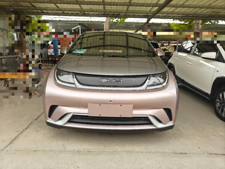 BYD 2021 Dolphin 405km Fashion Edition Automatic 2