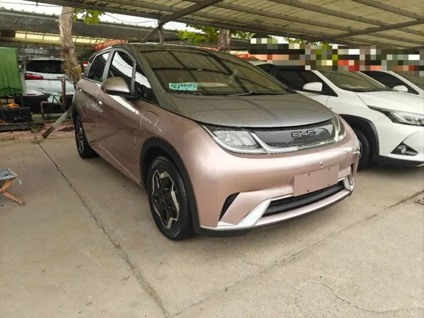 BYD 2021 Dolphin 405km Fashion Edition Automatic 3