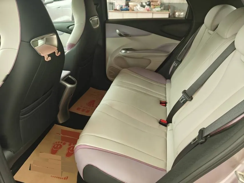 BYD 2021 Dolphin 405km Fashion Edition Automatic 6