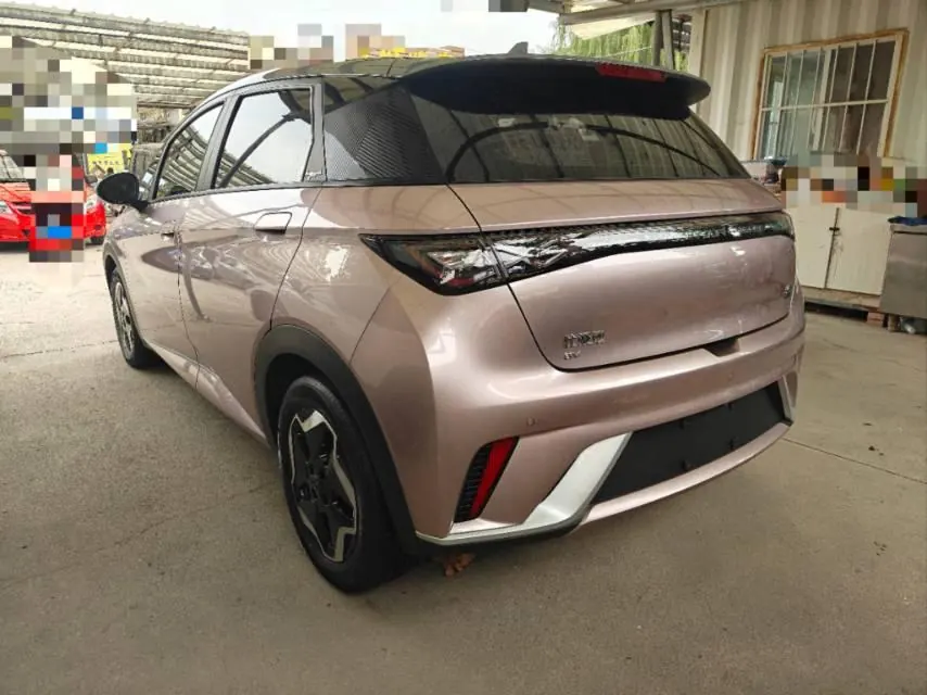 BYD 2021 Dolphin 405km Fashion Edition Automatic 7