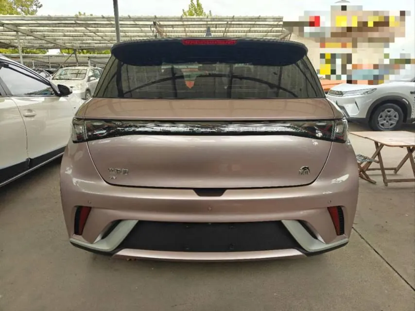 BYD 2021 Dolphin 405km Fashion Edition Automatic 8