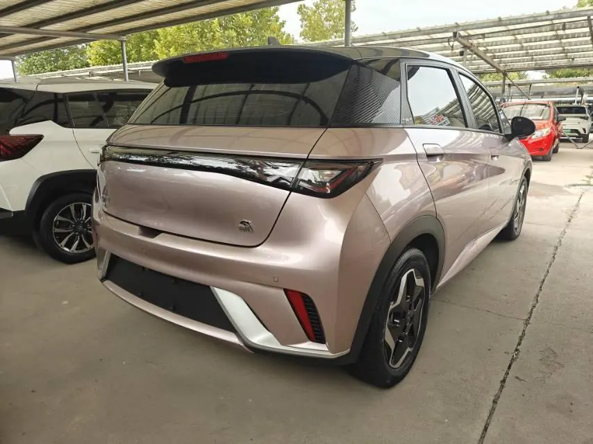 BYD 2021 Dolphin 405km Fashion Edition Automatic 9