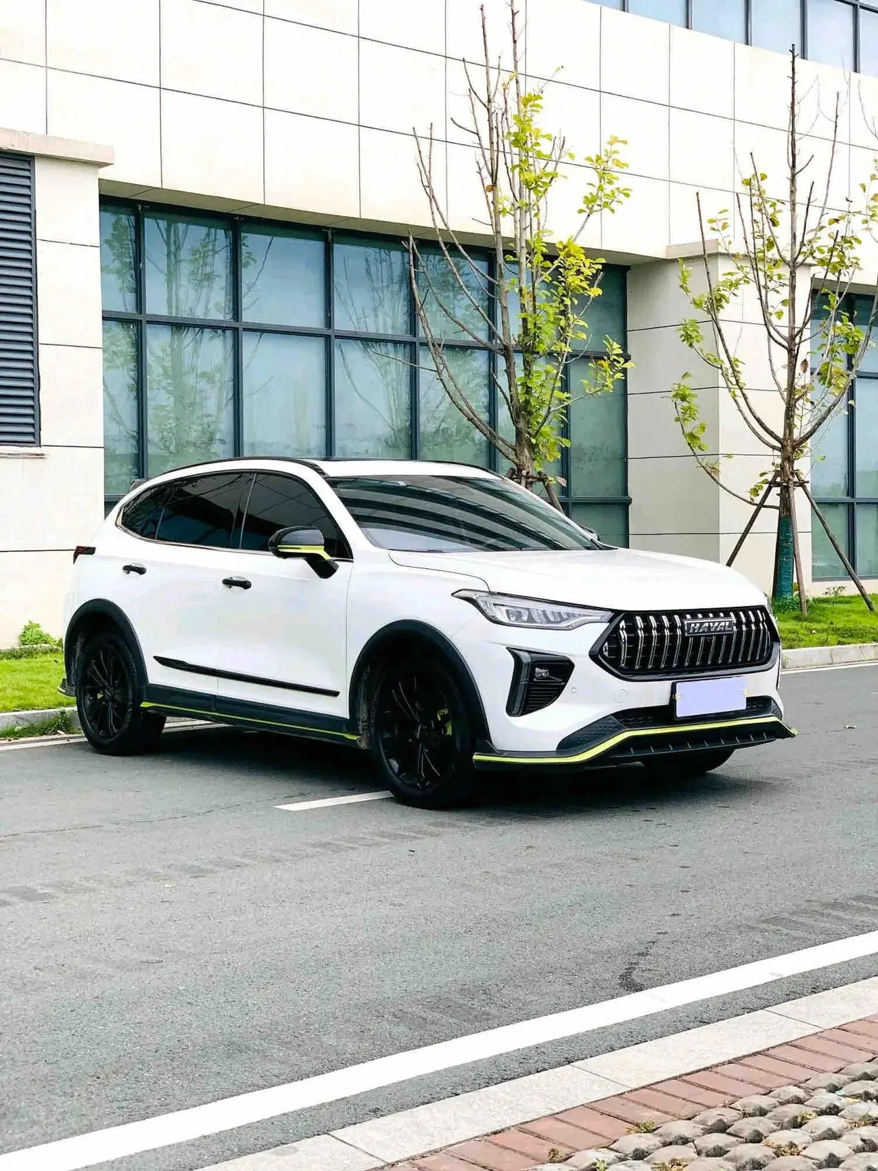 Haval 2022 red rabbit 1.5 king rabbit automatic transmission 2