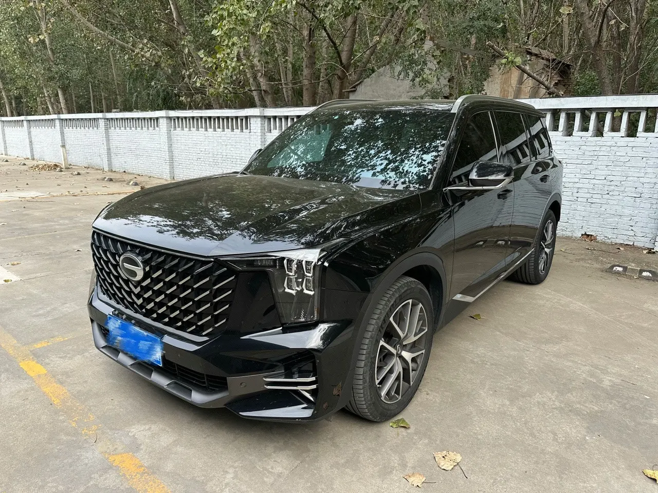 Open image lightbox: Chuanqi 2022 GS8 2.0TGDI Two-Drive Deluxe Zhilian Edition Seven-seat Automatic Gear