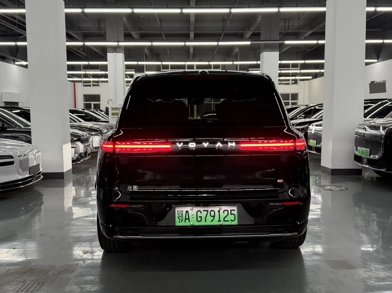 Voyah 2026 Taishan Max Automatic 5