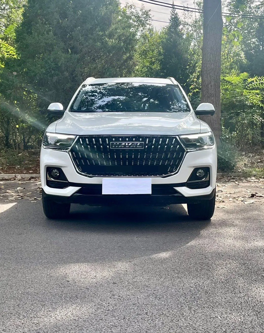 Haval 2023 H6 1.5T National Tide Champion Edition Automatic Gear 2