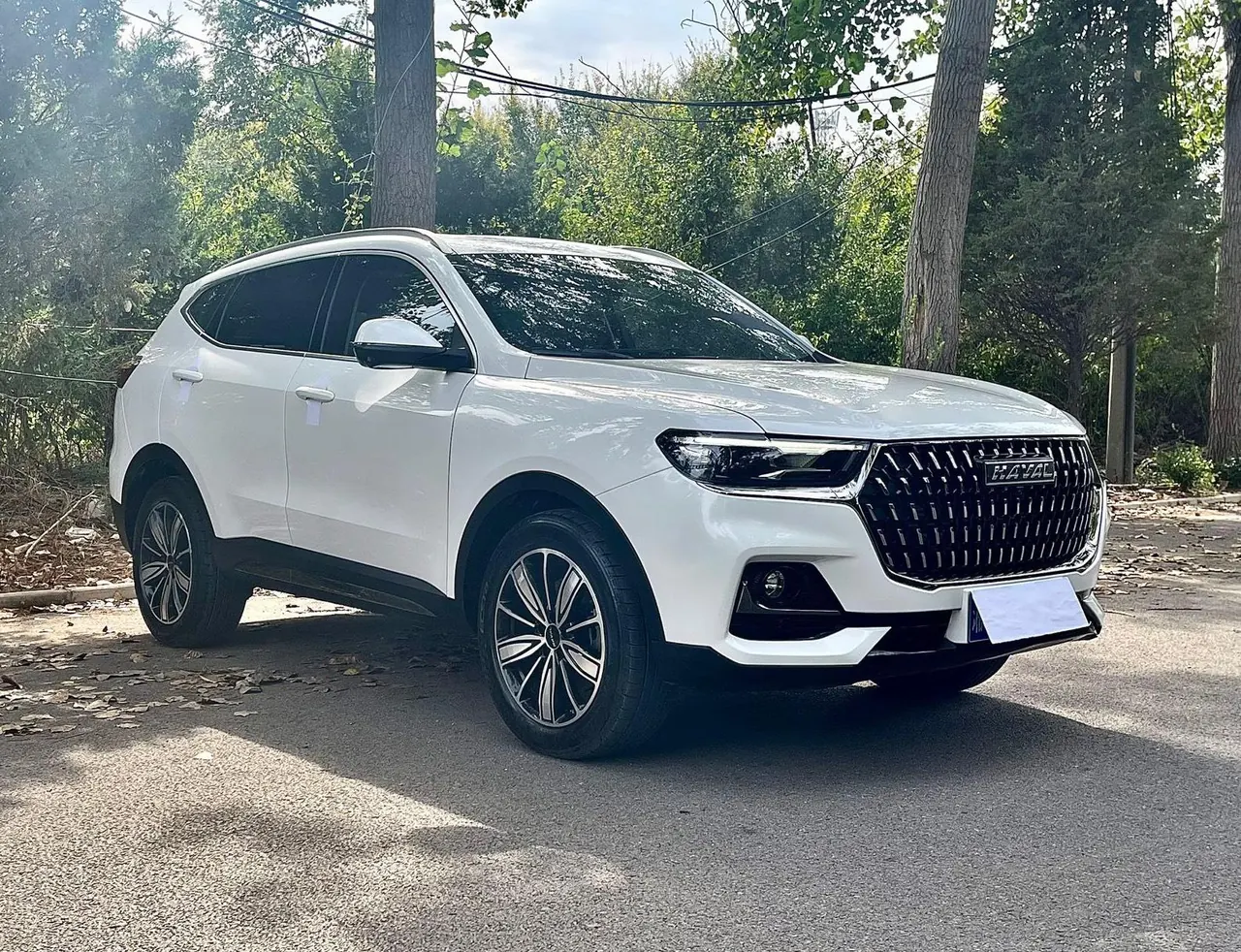 Haval 2023 H6 1.5T National Tide Champion Edition Automatic Gear 3