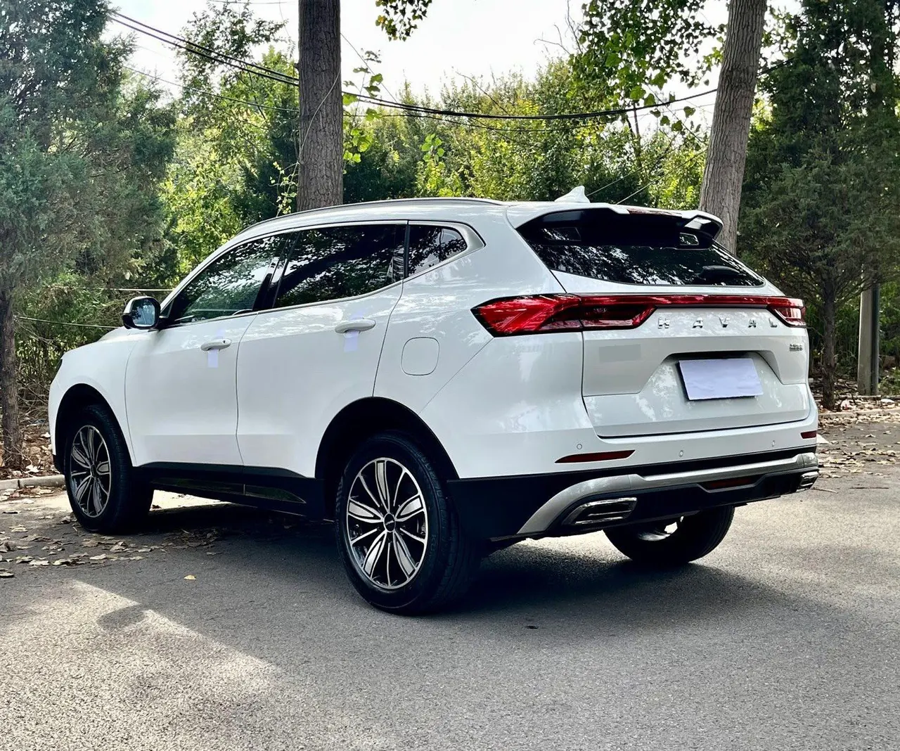 Haval 2023 H6 1.5T National Tide Champion Edition Automatic Gear 7