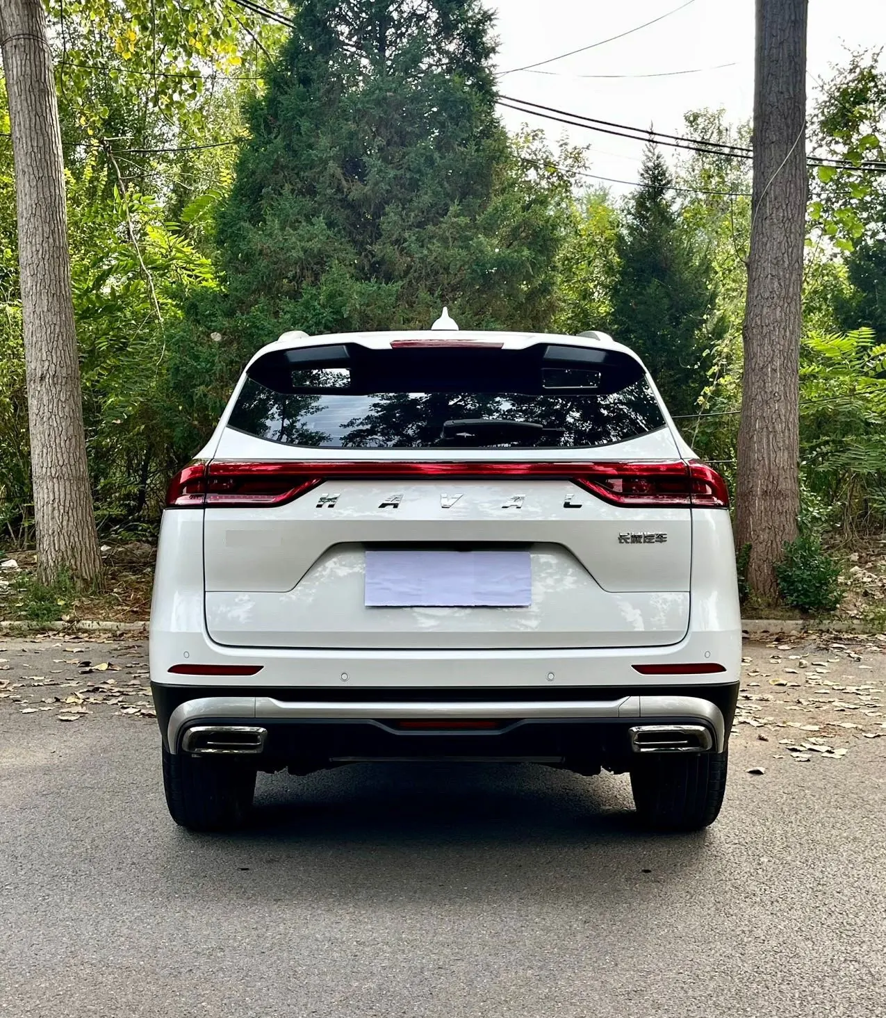 Haval 2023 H6 1.5T National Tide Champion Edition Automatic Gear 8