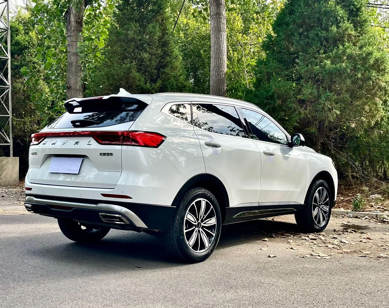 Haval 2023 H6 1.5T National Tide Champion Edition Automatic Gear 9