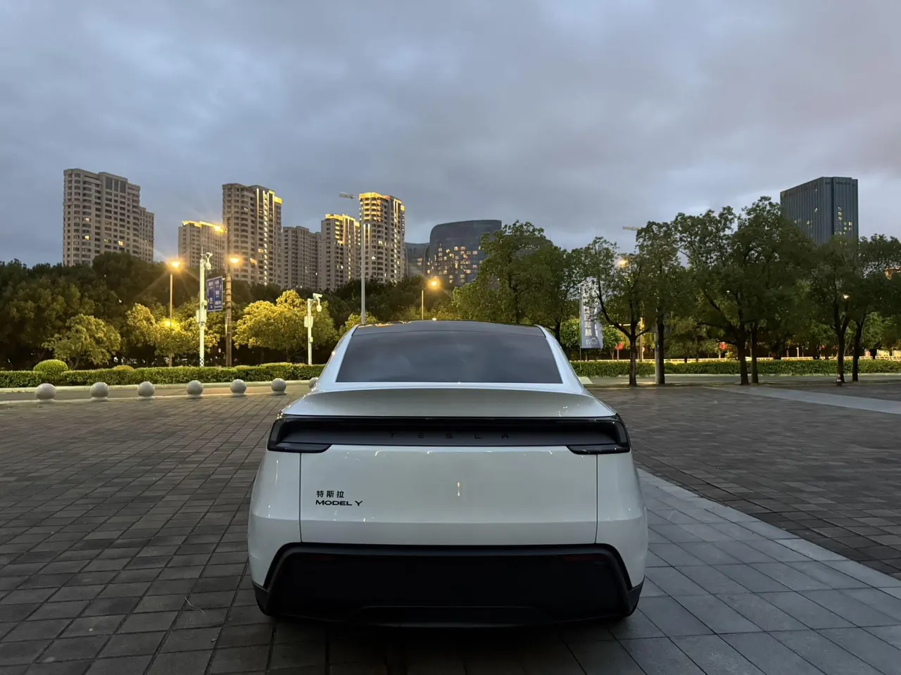 Tesla 2026 Model Y Rear-Wheel-Drive Automatic 10