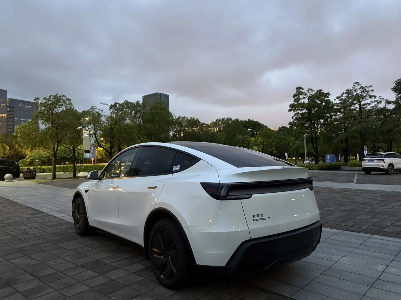 Tesla 2026 Model Y Rear-Wheel-Drive Automatic 11